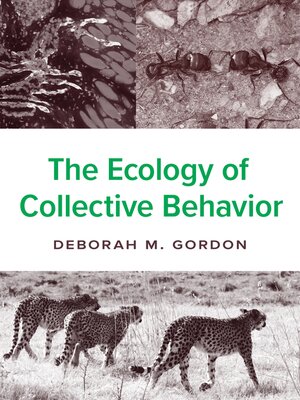 cover image of The Ecology of Collective Behavior
